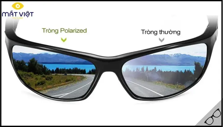 Mắt Kính Polarized Là Gì Mắt Kính Polarized Là Gì