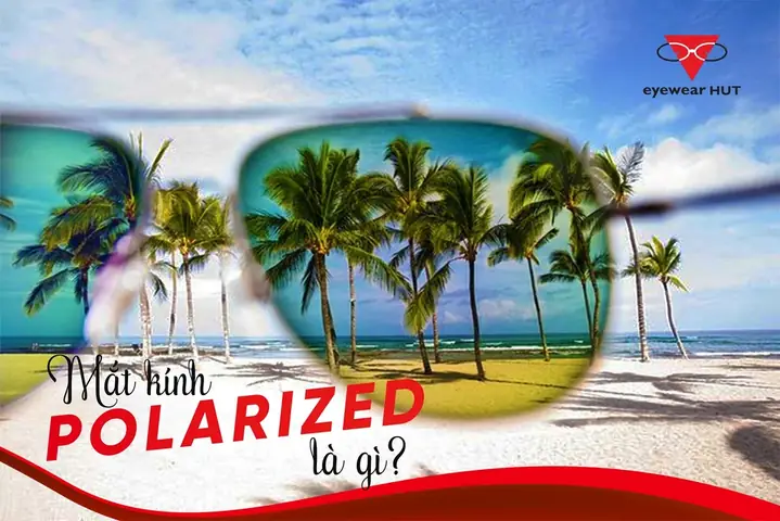 Mắt Kính Polarized Là Gì Mắt Kính Polarized Là Gì