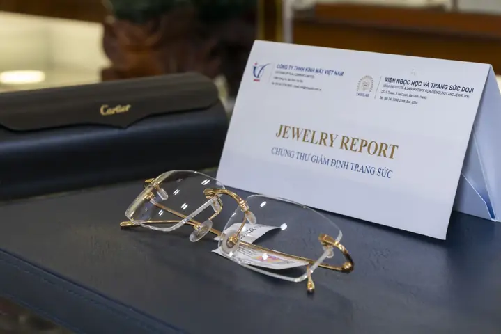 Mắt Kính Salenoptic
