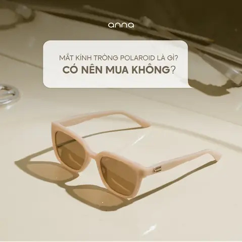 Mắt Kính Tròng Polaroid Là Gì
